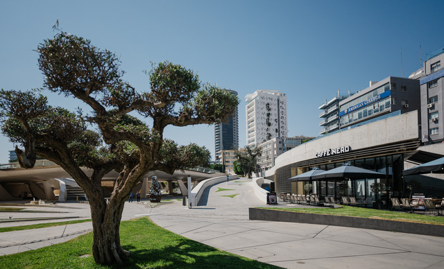 Caffè Nero Experience: Από τις φυτείες στο φλιτζάνι – ένα ταξίδι στην τέχνη του καφέ!