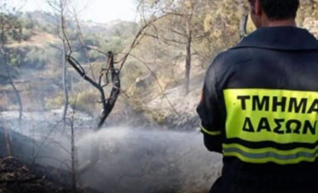 info: Έριξαν κάρβουνα στην όχθη ποταμού και προκάλεσαν φωτιά στις Πλάτρες