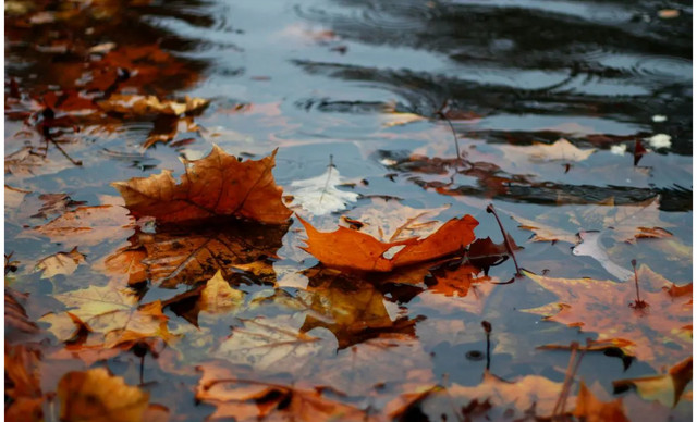 Ζώδια 16/10: Σήμερα είναι η μέρα για δράση – Τι λένε τα άστρα;