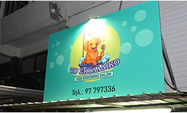 «Το Σκυλάδικο»: Το νέο must-visit dog spot της Λευκωσίας