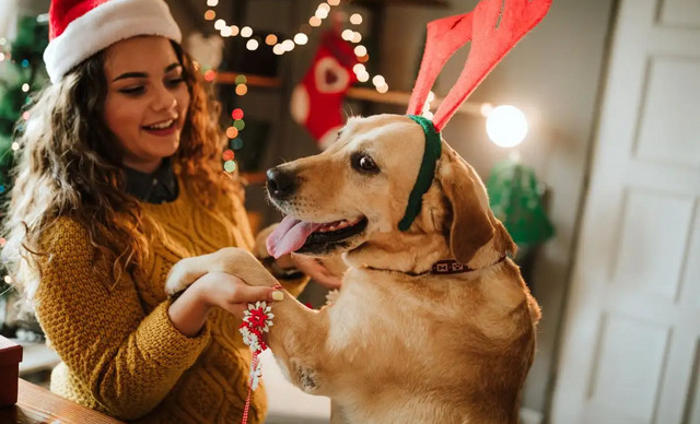 &Zeta;ώ&delta;&iota;&alpha; 18/12:&nbsp;&Mu;&iota;&kappa;&rho;έ&sigmaf; &pi;&rho;&omicron;&kappa;&lambda;ή&sigma;&epsilon;&iota;&sigmaf; &kappa;&alpha;&iota; &alpha;&pi;&omicron;&kappa;&alpha;&lambda;ύ&psi;&epsilon;&iota;&sigmaf; &ndash; &Tau;&iota; &pi;&rho;&omicron;&beta;&lambda;έ&pi;&epsilon;&tau;&alpha;&iota; &gamma;&iota;&alpha; &kappa;ά&theta;&epsilon; &zeta;ώ&delta;&iota;&omicron;
