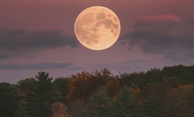 &Eta; &Pi;&alpha;&nu;&sigma;έ&lambda;&eta;&nu;&omicron;&sigmaf; &tau;&omicron;&upsilon; &Phi;&epsilon;&beta;&rho;&omicron;&upsilon;&alpha;&rho;ί&omicron;&upsilon; &phi;έ&rho;&nu;&epsilon;&iota; &mu;&epsilon;&gamma;ά&lambda;&epsilon;&sigmaf; &alpha;&lambda;&lambda;&alpha;&gamma;έ&sigmaf; &sigma;&epsilon; &alpha;&upsilon;&tau;ά &tau;&alpha; 3 &zeta;ώ&delta;&iota;&alpha;