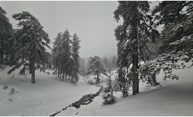 &Tau;&omicron; &laquo;έ&sigma;&tau;&rho;&omega;&sigma;&epsilon;&raquo; &gamma;&iota;&alpha; &tau;&alpha; &kappa;ά&lambda;&alpha; &sigma;&tau;&omicron; &Tau;&rho;&omicron;ό&delta;&omicron;&sigmaf;, &mu;&alpha;&gamma;&iota;&kappa;έ&sigmaf; &epsilon;&iota;&kappa;ό&nu;&epsilon;&sigmaf; έ&phi;&epsilon;&rho;&alpha;&nu; &tau;&alpha; &chi;&iota;ό&nu;&iota;&alpha; (&Beta;&Iota;&Nu;&Tau;&Epsilon;&Omicron;)