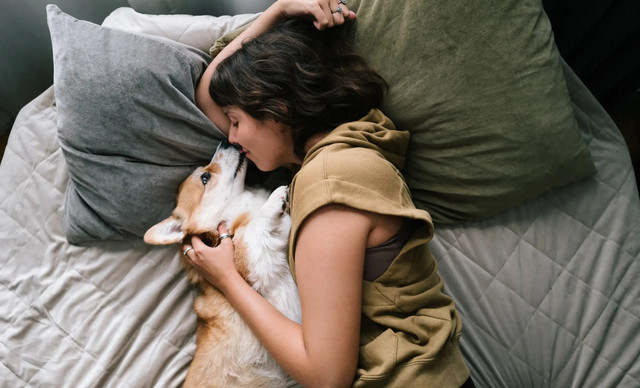 &Zeta;ώ&delta;&iota;&alpha; 11/01: &Pi;&rho;&omicron;&sigma;&omicron;&chi;ή!