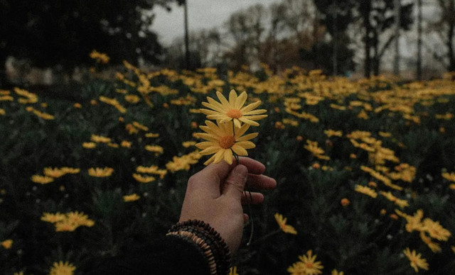 &Zeta;ώ&delta;&iota;&alpha; 15/01: &Alpha;έ&rho;&alpha;&sigmaf; &alpha;&nu;&alpha;&nu;έ&omega;&sigma;&eta;&sigmaf; &kappa;&iota; &alpha;&pi;&epsilon;&lambda;&epsilon;&upsilon;&theta;έ&rho;&omega;&sigma;&eta;&sigmaf; &gamma;&iota;&alpha; &alpha;&upsilon;&tau;ά &tau;&alpha; 4 &zeta;ώ&delta;&iota;&alpha;!