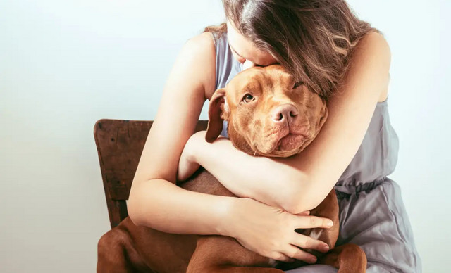 &Zeta;ώ&delta;&iota;&alpha; 27/01: &Epsilon;&pi;&alpha;&gamma;&gamma;&epsilon;&lambda;&mu;&alpha;&tau;&iota;&kappa;ά &kappa;&alpha;&iota; &pi;&rho;&omicron;&sigma;&omega;&pi;&iota;&kappa;ά &zeta;&eta;&tau;ή&mu;&alpha;&tau;&alpha; &mu;&pi;&alpha;ί&nu;&omicron;&upsilon;&nu; &sigma;&tau;&omicron; &mu;&iota;&kappa;&rho;&omicron;&sigma;&kappa;ό&pi;&iota;&omicron;