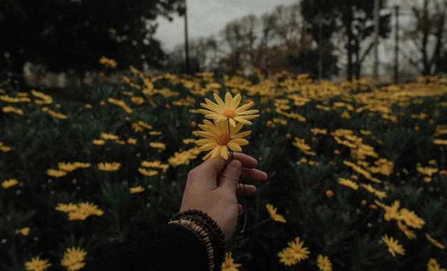 &Zeta;ώ&delta;&iota;&alpha; 18/01: &Pi;&omicron;&iota;&omicron;&iota; &epsilon;&upsilon;&nu;&omicron;&omicron;ύ&nu;&tau;&alpha;&iota; &kappa;&alpha;&iota; &pi;&omicron;&iota;&omicron;&iota; &delta;&omicron;&kappa;&iota;&mu;ά&zeta;&omicron;&nu;&tau;&alpha;&iota; &alpha;&pi;ό &tau;&eta; &Nu;έ&alpha; &Sigma;&epsilon;&lambda;ή&nu;&eta;