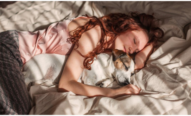 &Alpha;&upsilon;&tau;ό&sigmaf; &epsilon;ί&nu;&alpha;&iota; &omicron; έ&xi;&upsilon;&pi;&nu;&omicron;&sigmaf; &tau;&rho;ό&pi;&omicron;&sigmaf; &gamma;&iota;&alpha; &nu;&alpha; &kappa;&omicron;&iota;&mu;&eta;&theta;&epsilon;ί&sigmaf; &sigma;&epsilon; 60 &delta;&epsilon;&upsilon;&tau;&epsilon;&rho;ό&lambda;&epsilon;&pi;&tau;&alpha;