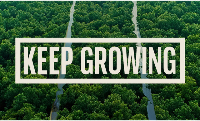 Diageo Johnnie Walker Black Label &upsilon;&lambda;&omicron;&pi;&omicron;&iota;&omicron;ύ&nu; &pi;&rho;ό&gamma;&rho;&alpha;&mu;&mu;&alpha; &alpha;&nu;&alpha;&amp