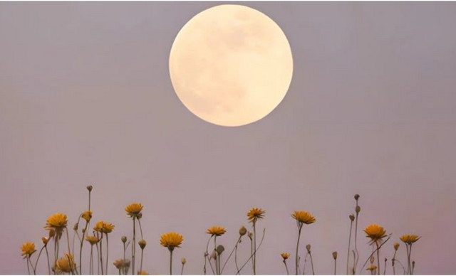 &Alpha;&upsilon;&tau;ά &epsilon;ί&nu;&alpha;&iota; &tau;&alpha; 3 &zeta;ώ&delta;&iota;&alpha; &pi;&omicron;&upsilon; έ&pi;&epsilon;&sigma;&alpha;&nu; &sigma;&epsilon; &ldquo;&pi;ά&gamma;&omicron;&rdquo; &sigma;&tau;&iota;&sigmaf; &alpha;&rho;&chi;έ&sigmaf; &tau;&omicron;&upsilon; 2026 &kappa;&alpha;&iota; &theta;&alpha; &delta;&iota;&kappa;&alpha;&iota;&omega;&theta;&omicron;ύ&nu; &tau;&omicron;&nu; &Alpha;&pi;&rho;ί&lambda;&iota;&omicron;