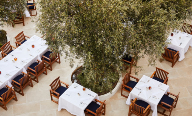 &Pi;ά&sigma;&chi;&alpha; &sigma;&tau;&omicron; Anassa: &Mu;&iota;&alpha; &alpha;&upsilon;&theta;&epsilon;&nu;&tau;&iota;&kappa;ή &kappa;&upsilon;&pi;&rho;&iota;&alpha;&kappa;ή &epsilon;&mu;&pi;&epsilon;&iota;&rho;ί&alpha; &gamma;&epsilon;&mu;ά&tau;&eta; &phi;&omega;&sigmaf;, &pi;&alpha;&rho;ά&delta;&omicron;&sigma;&eta; &kappa;&alpha;&iota; &alpha;&nu;&alpha;&gamma;έ&nu;&nu;&eta;&sigma;&eta;