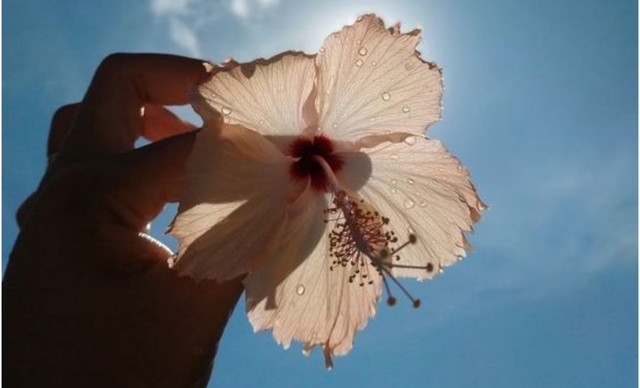 &Zeta;ώ&delta;&iota;&alpha; (23/3): &Mu;&eta;&nu; &beta;&iota;ά&zeta;&epsilon;&sigma;&alpha;&iota; &nu;&alpha; &pi;ά&rho;&epsilon;&iota;&sigmaf; &alpha;&pi;&omicron;&phi;ά&sigma;&epsilon;&iota;&sigmaf; &ndash; &Tau;&iota; &pi;&rho;&omicron;&beta;&lambda;έ&pi;&epsilon;&tau;&alpha;&iota; &gamma;&iota;&alpha; &kappa;ά&theta;&epsilon; &zeta;ώ&delta;&iota;&omicron;;