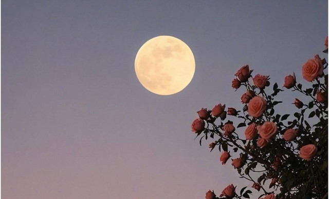 &Zeta;ώ&delta;&iota;&alpha; (11/3): &Sigma;&kappa;έ&psi;&epsilon;&iota;&sigmaf; &kappa;&alpha;&iota; &sigma;&upsilon;&nu;&alpha;&iota;&sigma;&theta;ή&mu;&alpha;&tau;&alpha; &zeta;&eta;&tau;&omicron;ύ&nu; &pi;&epsilon;&rho;&iota;&sigma;&sigma;ό&tau;&epsilon;&rho;&omicron; &chi;ώ&rho;&omicron; &ndash; &Tau;&iota; &pi;&rho;&omicron;&beta;&lambda;έ&pi;&epsilon;&tau;&alpha;&iota; &gamma;&iota;&alpha; &kappa;ά&theta;&epsilon; &zeta;ώ&delta;&iota;&omicron;;