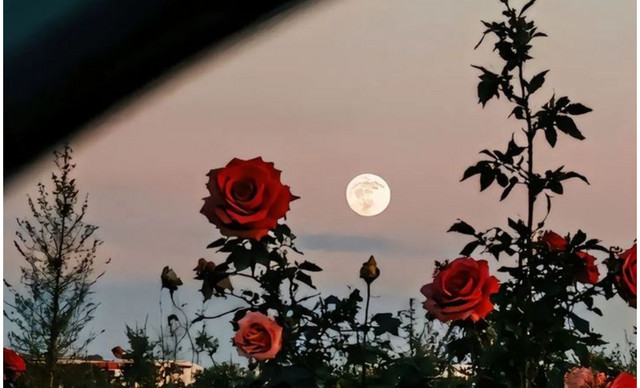 &Zeta;ώ&delta;&iota;&alpha; (16/3): &Nu;έ&epsilon;&sigmaf; &iota;&delta;έ&epsilon;&sigmaf; &kappa;&alpha;&iota; &kappa;&alpha;&theta;&alpha;&rho;έ&sigmaf; &sigma;&kappa;έ&psi;&epsilon;&iota;&sigmaf; &sigma;&tau;&omicron; &pi;&rho;&omicron;&sigma;&kappa;ή&nu;&iota;&omicron; &ndash; &Tau;&iota; &pi;&rho;&omicron;&beta;&lambda;έ&pi;&epsilon;&tau;&alpha;&iota; &gamma;&iota;&alpha; &kappa;ά&theta;&epsilon; &zeta;ώ&delta;&iota;&omicron;;