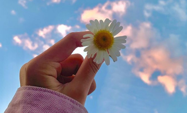 &Zeta;ώ&delta;&iota;&alpha; (18/3): &Eta; &eta;&mu;έ&rho;&alpha; &epsilon;&upsilon;&nu;&omicron;&epsilon;ί &tau;&eta;&nu; &alpha;&upsilon;&tau;&omicron;&pi;&alpha;&rho;&alpha;&tau;ή&rho;&eta;&sigma;&eta; &ndash; &Tau;&iota; &pi;&rho;&omicron;&beta;&lambda;έ&pi;&epsilon;&tau;&alpha;&iota; &gamma;&iota;&alpha; &kappa;ά&theta;&epsilon; &zeta;ώ&delta;&iota;&omicron;;