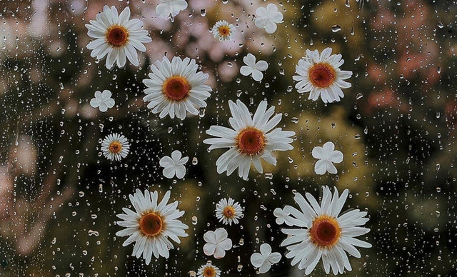 &Zeta;ώ&delta;&iota;&alpha; (21/3):&nbsp;&Epsilon;&xi;έ&lambda;&iota;&xi;&eta;, &delta;&eta;&mu;&iota;&omicron;&upsilon;&rho;&gamma;&iota;&kappa;ό&tau;&eta;&tau;&alpha; &kappa;&alpha;&iota; &omicron;&upsilon;&sigma;&iota;&alpha;&sigma;&tau;&iota;&kappa;έ&sigmaf; &alpha;&lambda;&lambda;&alpha;&gamma;έ&sigmaf; &ndash; &Tau;&iota; &pi;&rho;&omicron;&beta;&lambda;έ&pi;&epsilon;&tau;&alpha;&iota; &gamma;&iota;&alpha; &kappa;ά&theta;&epsilon; &zeta;ώ&delta;&iota;&omicron;