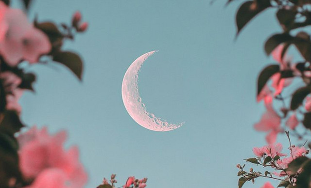 &Zeta;ώ&delta;&iota;&alpha; 4/3: &Eta; &eta;&mu;έ&rho;&alpha; &delta;ί&nu;&epsilon;&iota; &epsilon;&upsilon;&kappa;&alpha;&iota;&rho;ί&epsilon;&sigmaf; &gamma;&iota;&alpha; &xi;&epsilon;&kappa;&alpha;&theta;&alpha;&rho;ί&sigma;&mu;&alpha;&tau;&alpha; &ndash; &Tau;&iota; &pi;&rho;&omicron;&beta;&lambda;έ&pi;&epsilon;&tau;&alpha;&iota; &gamma;&iota;&alpha; &kappa;ά&theta;&epsilon; &zeta;ώ&delta;&iota;&omicron;