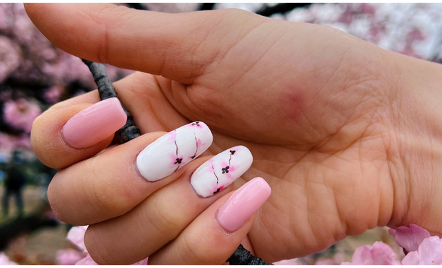 &Tau;&omicron; &mu;&alpha;&nu;&iota;&kappa;&iota;&omicron;ύ&rho; &pi;&omicron;&upsilon; &theta;&alpha; &kappa;ά&nu;&epsilon;&iota; &tau;&omicron;&nu; &Alpha;&pi;&rho;ί&lambda;&iota;&omicron; &sigma;&omicron;&upsilon; &pi;&iota;&omicron; &rho;&omicron;&mu;&alpha;&nu;&tau;&iota;&kappa;ό