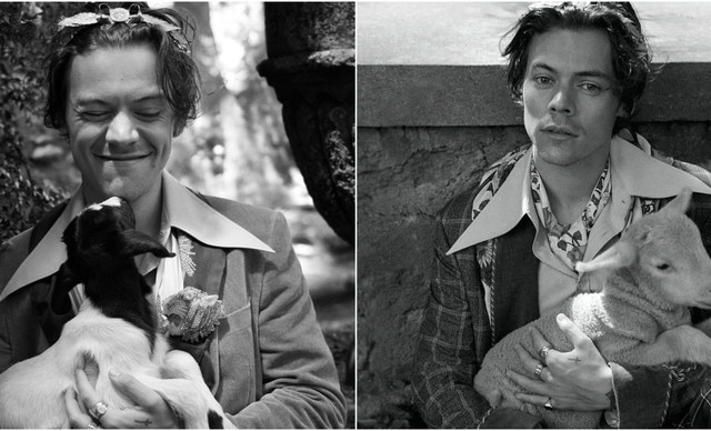 &Eta; &sigma;&tau;&upsilon;&lambda;&iota;&sigma;&tau;&iota;&kappa;ή &epsilon;&pi;&alpha;&nu;ά&sigma;&tau;&alpha;&sigma;&eta; &tau;&omicron;&upsilon; Harry Styles &ndash; &Eta; &alpha;&iota;&sigma;&theta;&eta;&tau;&iota;&kappa;ή &pi;&omicron;&upsilon; έ&gamma;&rho;&alpha;&psi;&epsilon; &iota;&sigma;&tau;&omicron;&rho;ί&alpha;