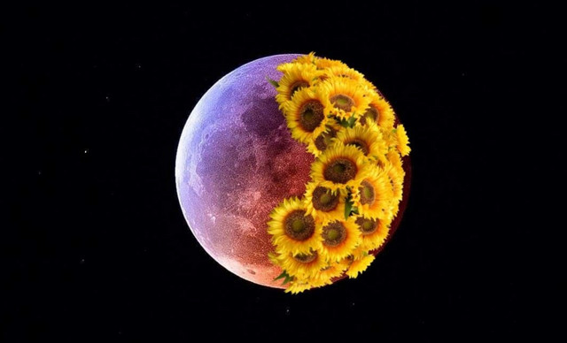 &Zeta;ώ&delta;&iota;&alpha; (17/4): &Sigma;&upsilon;&nu;&alpha;&iota;&sigma;&theta;&eta;&mu;&alpha;&tau;&iota;&kappa;ά, &upsilon;&pi;ά&rho;&chi;&epsilon;&iota; &mu;&iota;&alpha; &tau;ά&sigma;&eta; &gamma;&iota;&alpha; &epsilon;&mu;&beta;ά&theta;&upsilon;&nu;&sigma;&eta; &ndash; &Tau;&iota; &pi;&rho;&omicron;&beta;&lambda;έ&pi;&epsilon;&tau;&alpha;&iota; &gamma;&iota;&alpha; &kappa;ά&theta;&epsilon; &zeta;ώ&delta;&iota;&omicron;