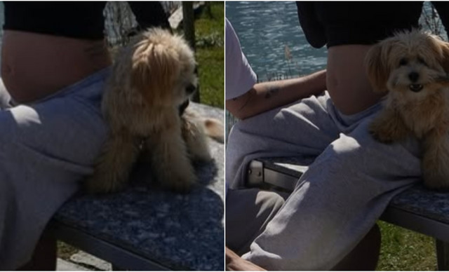 Έ&gamma;&kappa;&upsilon;&omicron;&sigmaf; &sigma;&tau;&omicron; &pi;&rho;ώ&tau;&omicron; &tau;&eta;&sigmaf; &pi;&alpha;&iota;&delta;ί &pi;&alpha;&sigma;ί&gamma;&nu;&omega;&sigma;&tau;&eta; &Epsilon;&lambda;&lambda;&eta;&nu;ί&delta;&alpha; influencer (&Phi;&Omega;&Tau;&Omicron;)