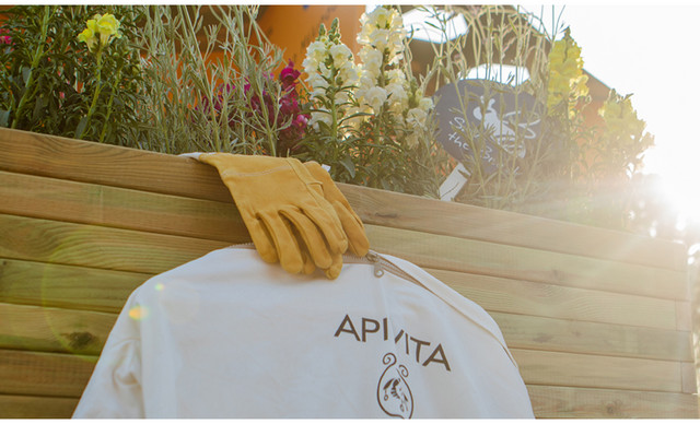 &Eta; APIVITA &gamma;&iota;&omicron;&rho;&tau;ά&zeta;&epsilon;&iota; &tau;&eta;&nu; &Pi;&alpha;&gamma;&kappa;ό&sigma;&mu;&iota;&alpha; &Eta;&mu;έ&rho;&alpha; &Mu;έ&lambda;&iota;&sigma;&sigma;&alpha;&sigmaf; &mu;&epsilon; &tau;&omicron; Billion Bees Program!