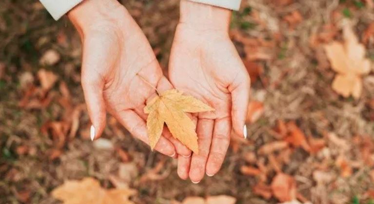 Ποια ζώδια θα επηρεαστούν αρνητικά φέτος το φθινόπωρο;