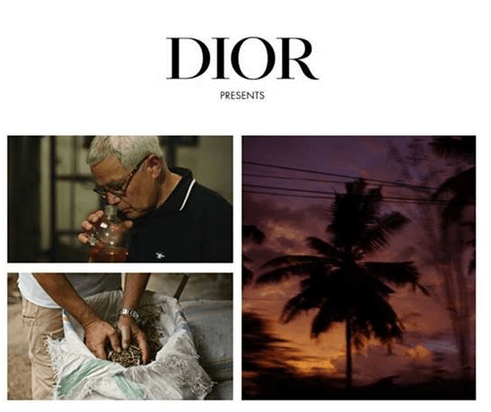 DIOR SAUVAGE: Συστατικά γεννημένα στην άγρια φύση, χειροτεχνημένα από τον DIOR