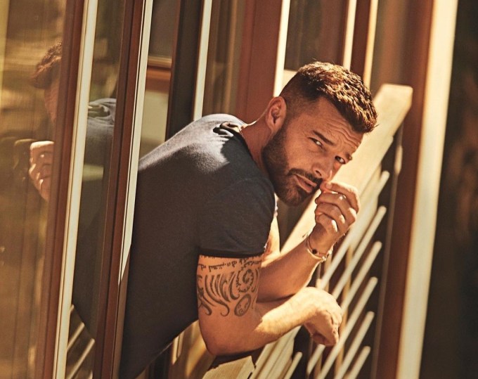 Ricky Martin: Το υπέροχο σπίτι των 3.000 τ.μ με το νομαδικό design