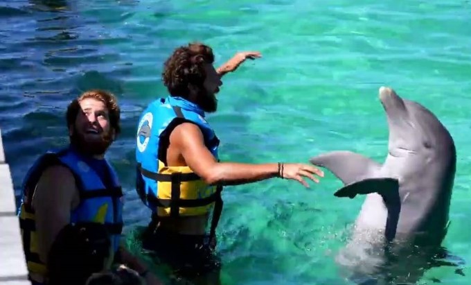 Survivor: Tο twitter αντέδρασε για το έπαθλο με τα δελφίνια