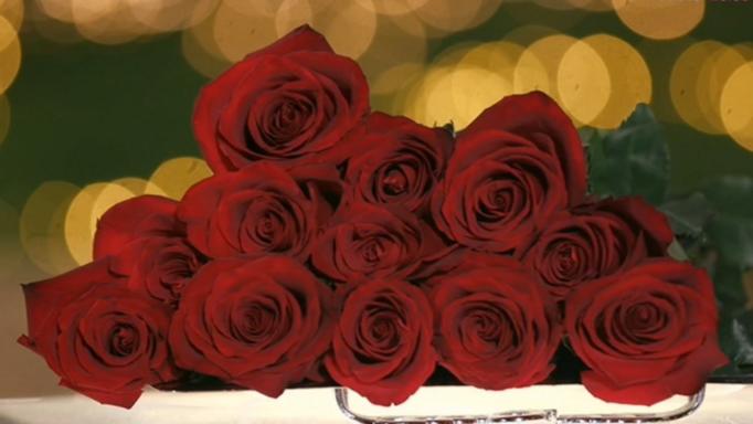 The Bachelor: Δεν πήρε τριαντάφυλλο, αποχώρησε αλλά… του πρότεινε νύφη