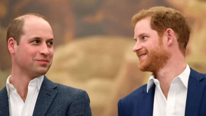 Πρίγκιπας William – Πρίγκιπας Harry: Ενώνουν τις δυνάμεις τους για το ειδικό βραβείο της μητέρας τους Νταϊάνα