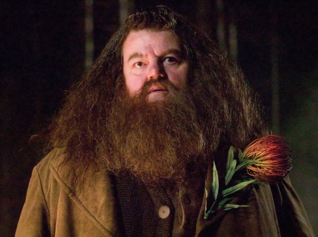Robbie Coltrane: Αποκαλύφθηκε η αιτία θανάτου του