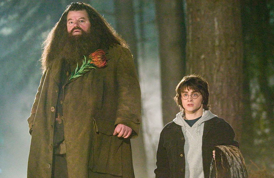 Έφυγε από τη ζωή θρυλικός ηθοποιός του ”Harry Potter”