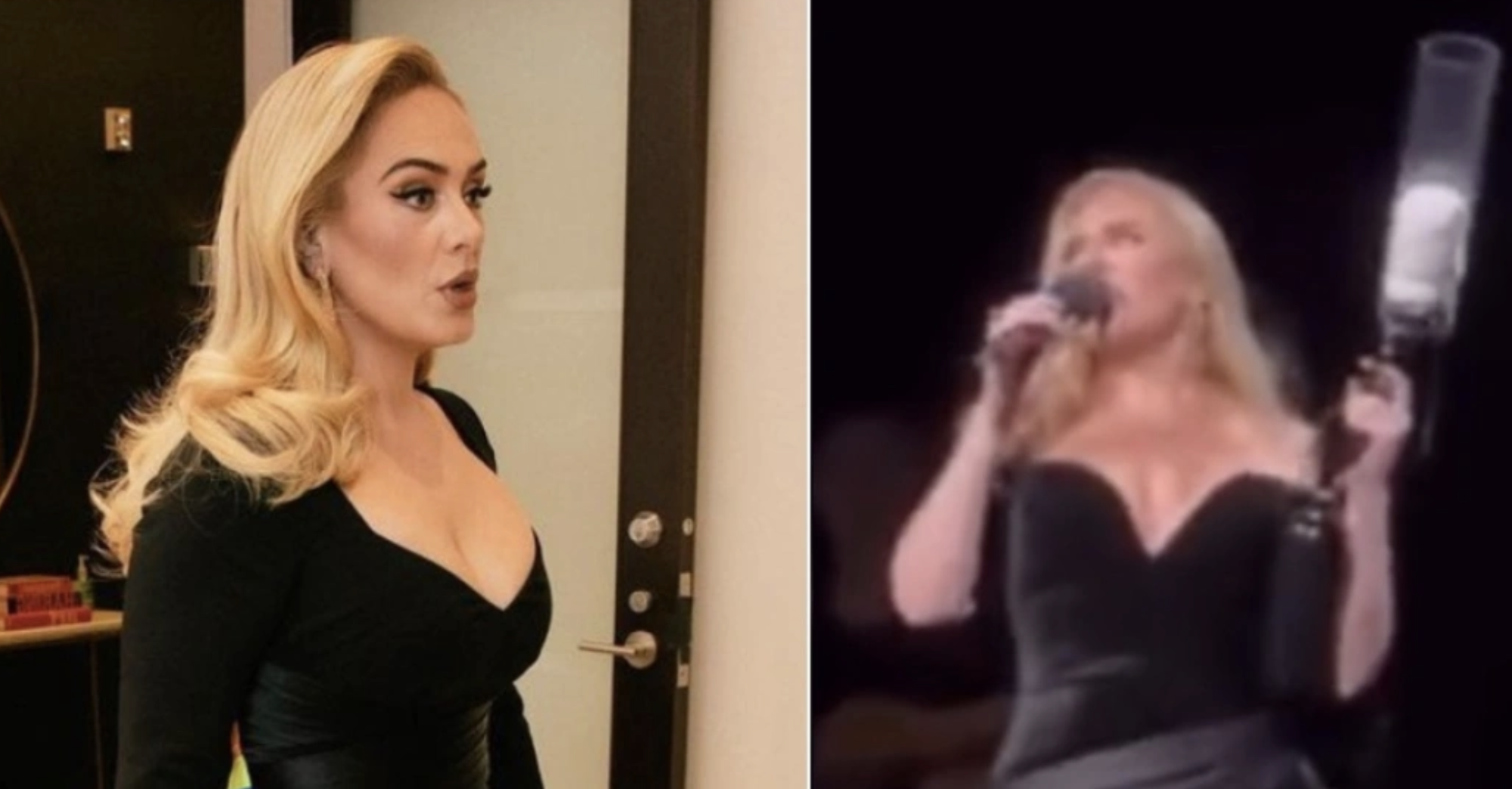 Adele: «Απείλησε» το κοινό σε συναυλία της (Βίντεο)
