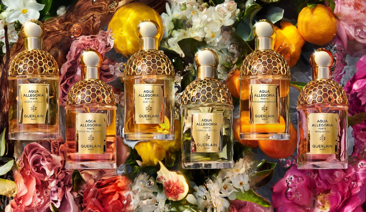 AQUA ALLEGORIA FORTE <strong>THE NEW INTENSE COLLECTION</strong>