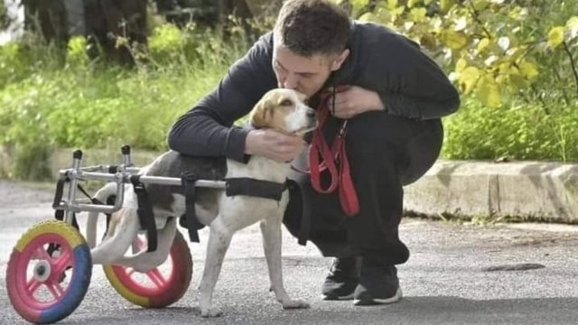 Μιχάλης Χατζηγιάννης: Συγκινεί το βίντεο με το σκυλάκι του με κινητικά προβλήματα