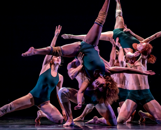 Pilobolus: Η θρυλική αμερικανική χορευτική ομάδα έρχεται στο Διεθνές Φεστιβάλ Θεάτρου Κύπρου