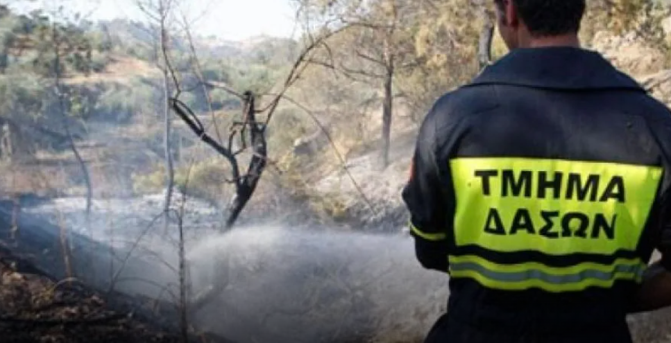 info: Έριξαν κάρβουνα στην όχθη ποταμού και προκάλεσαν φωτιά στις Πλάτρες