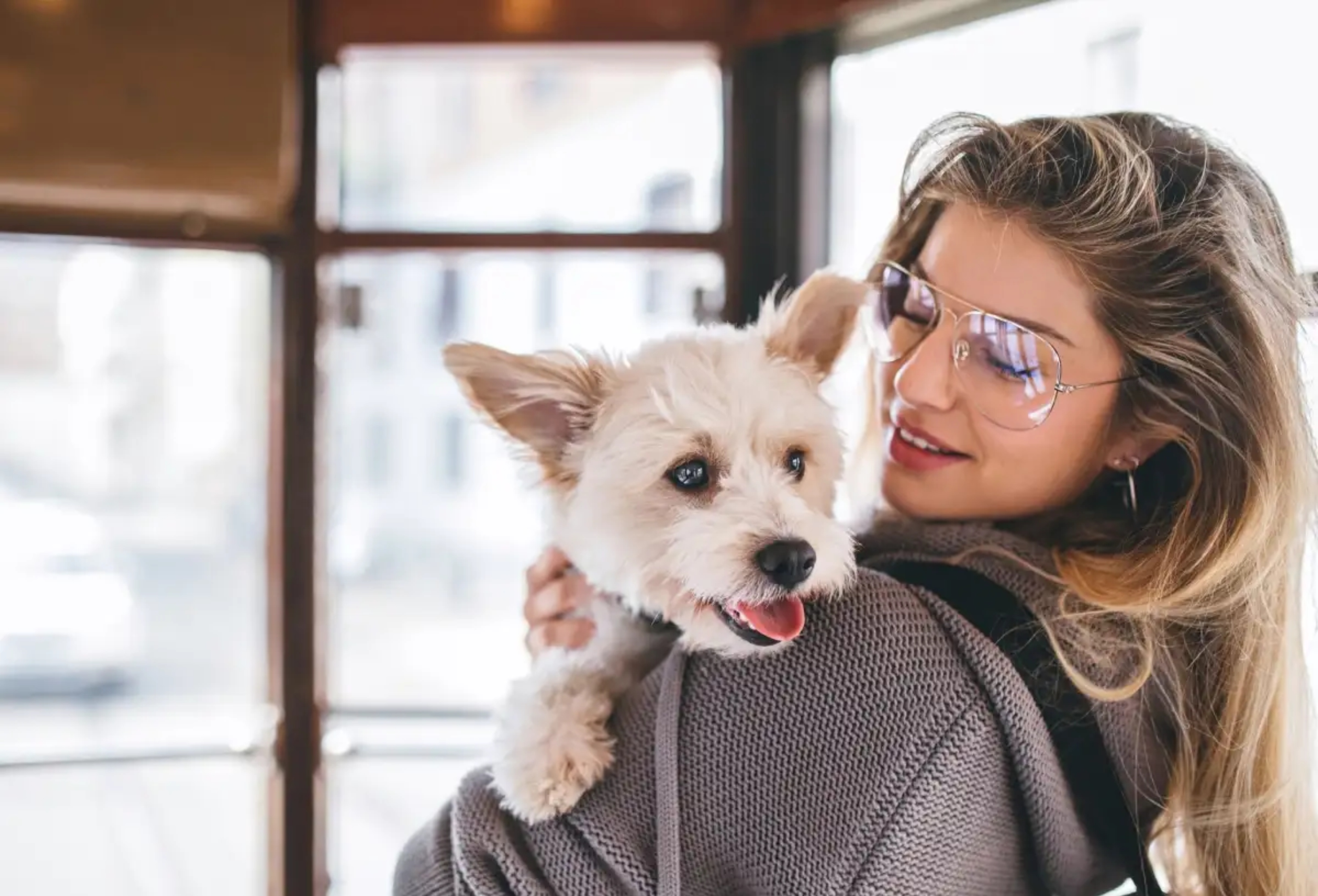 Ζώδια 23/11: Ημέρα ανανέωσης για αυτά τα τέσσερα ζώδια