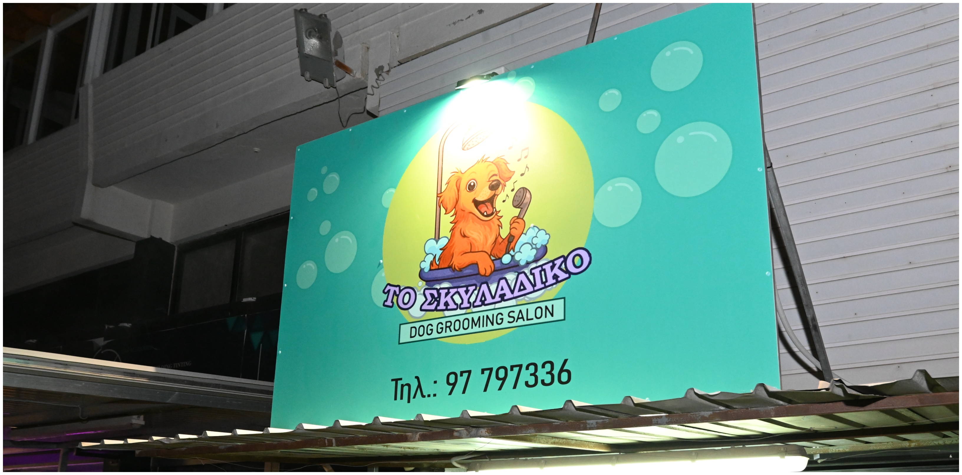 «Το Σκυλάδικο»: Το νέο must-visit dog spot της Λευκωσίας