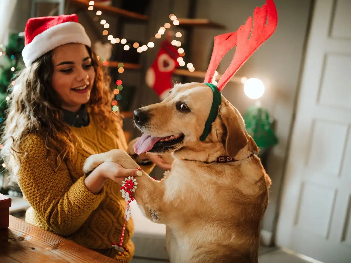 Ζώδια 18/12: Μικρές προκλήσεις και αποκαλύψεις – Τι προβλέπεται για κάθε ζώδιο