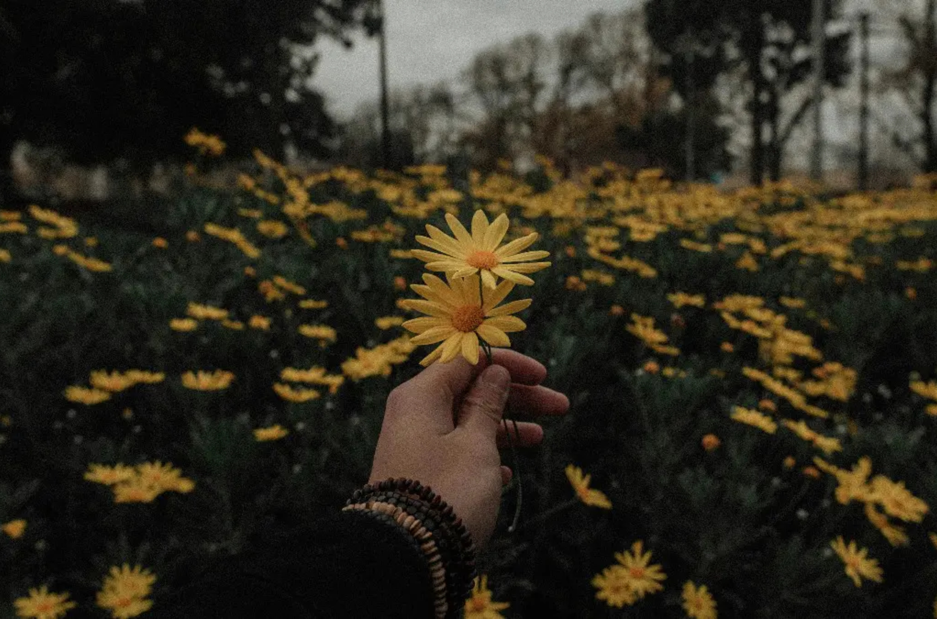 Ζώδια 15/01: Αέρας ανανέωσης κι απελευθέρωσης για αυτά τα 4 ζώδια!