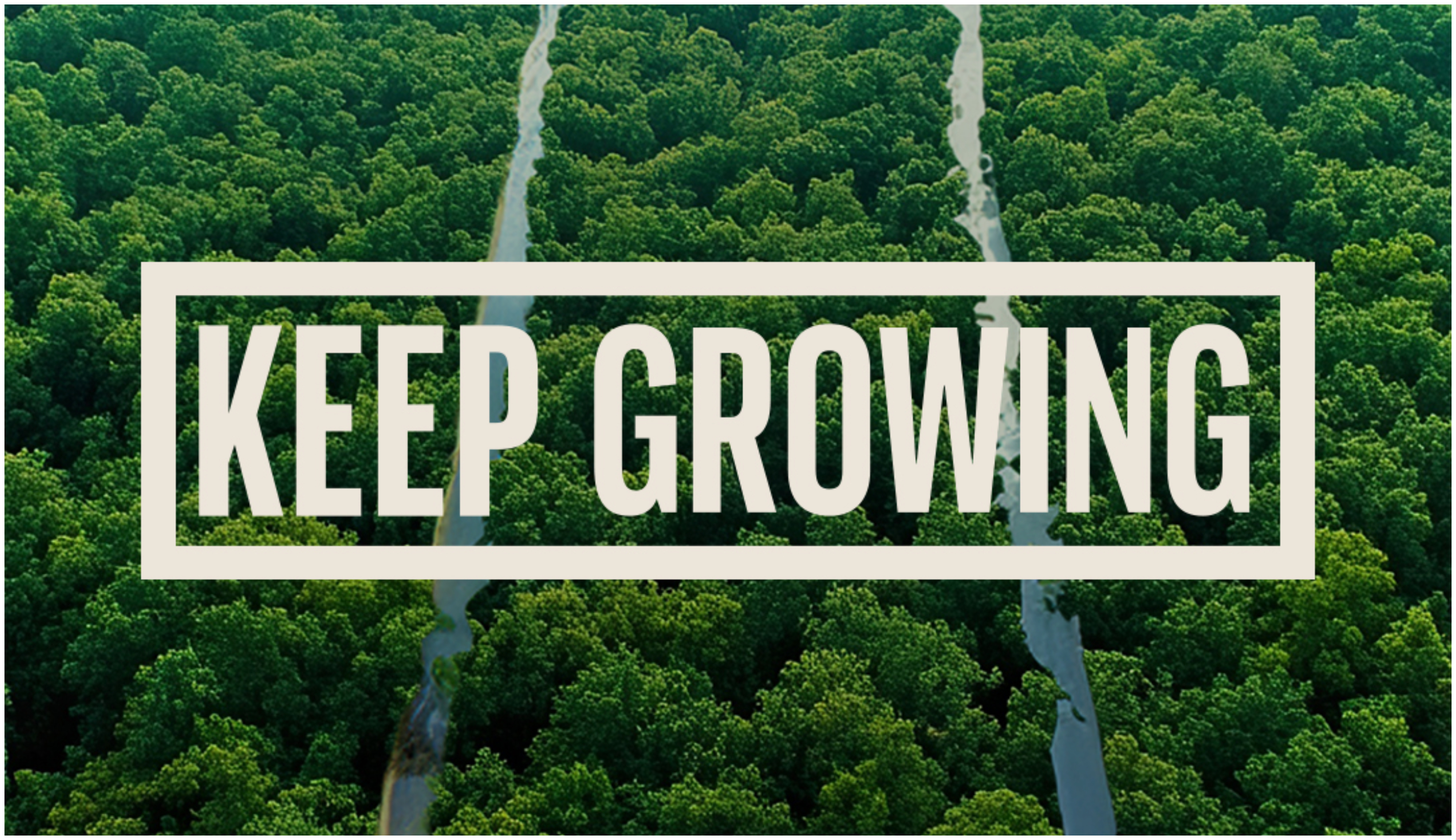 Diageo & Johnnie Walker Black Label υλοποιούν πρόγραμμα αναδάσωσης πυρόπληκτων περιοχών στην Κύπρο