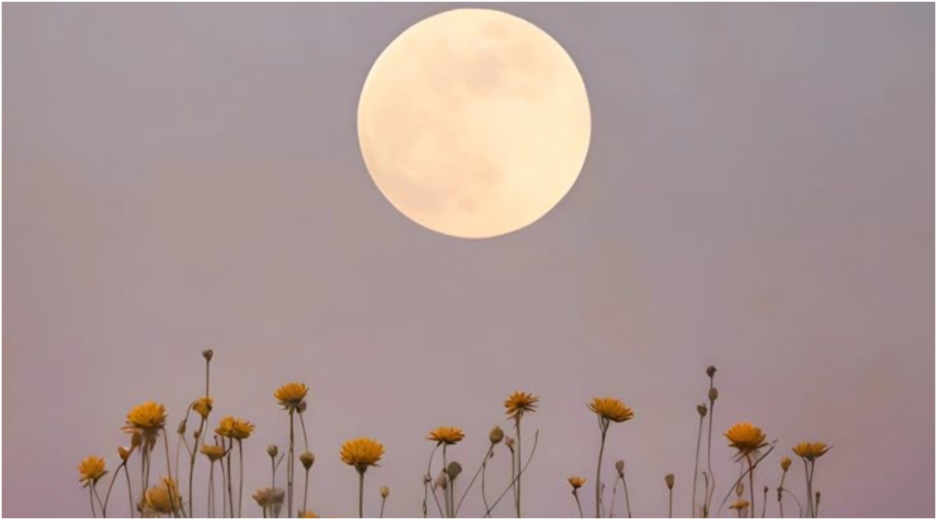 Αυτά είναι τα 3 ζώδια που έπεσαν σε “πάγο” στις αρχές του 2026 και θα δικαιωθούν τον Απρίλιο