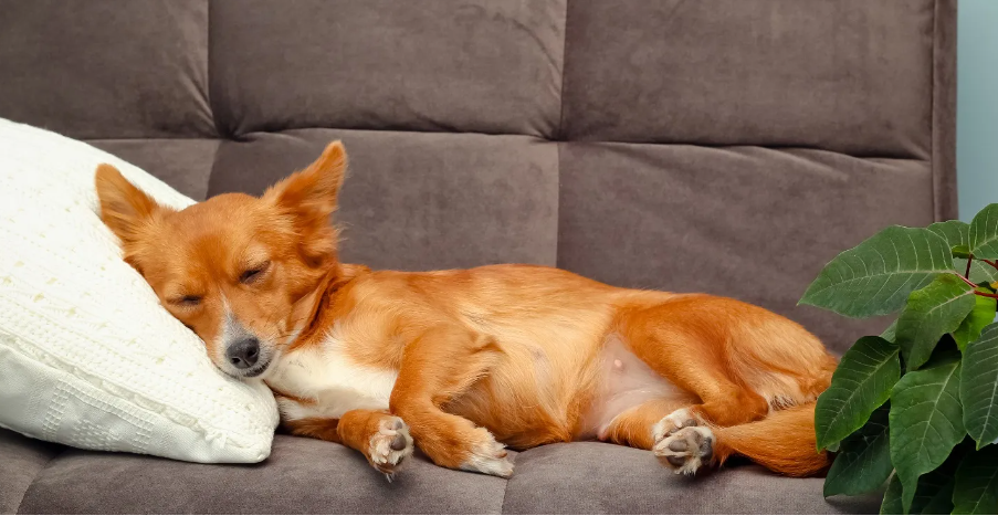3 λάθη που κάνουμε με τα όσπρια – Και πώς να τα αποφύγουμε τη Σαρακοστή