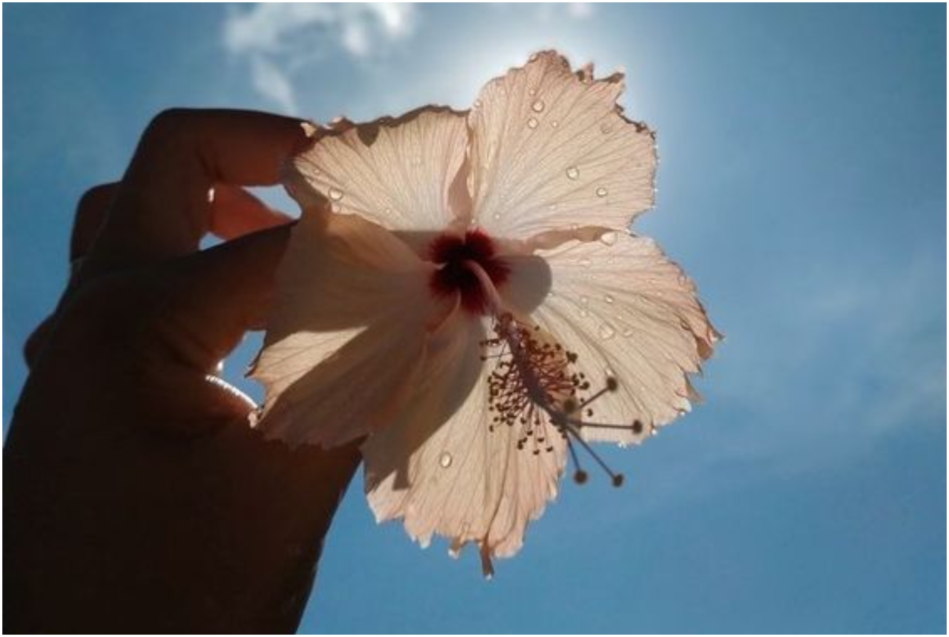 Ζώδια (23/3): Μην βιάζεσαι να πάρεις αποφάσεις – Τι προβλέπεται για κάθε ζώδιο;