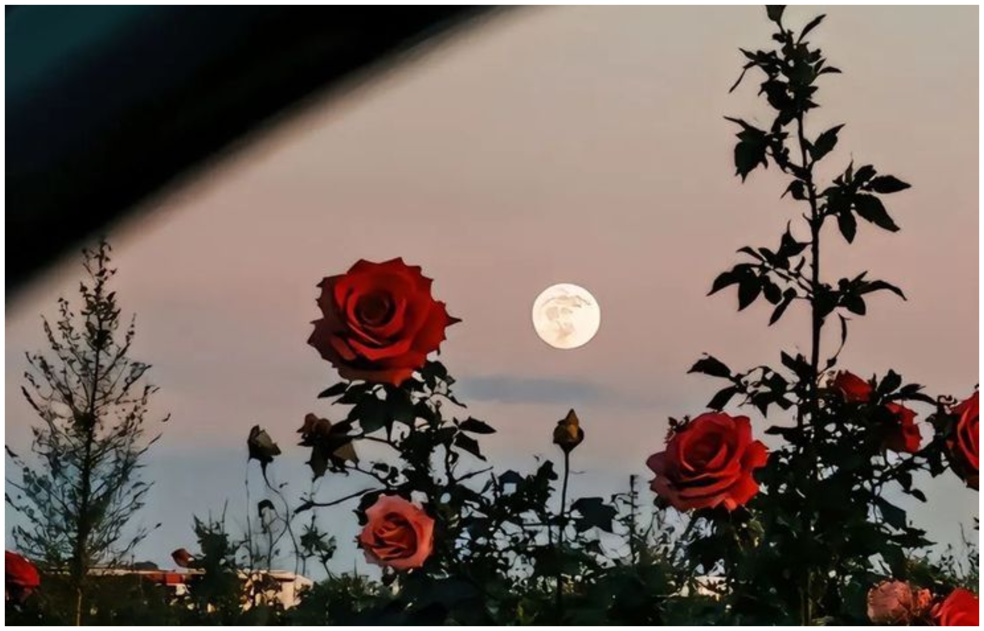 Ζώδια (16/3): Νέες ιδέες και καθαρές σκέψεις στο προσκήνιο – Τι προβλέπεται για κάθε ζώδιο;