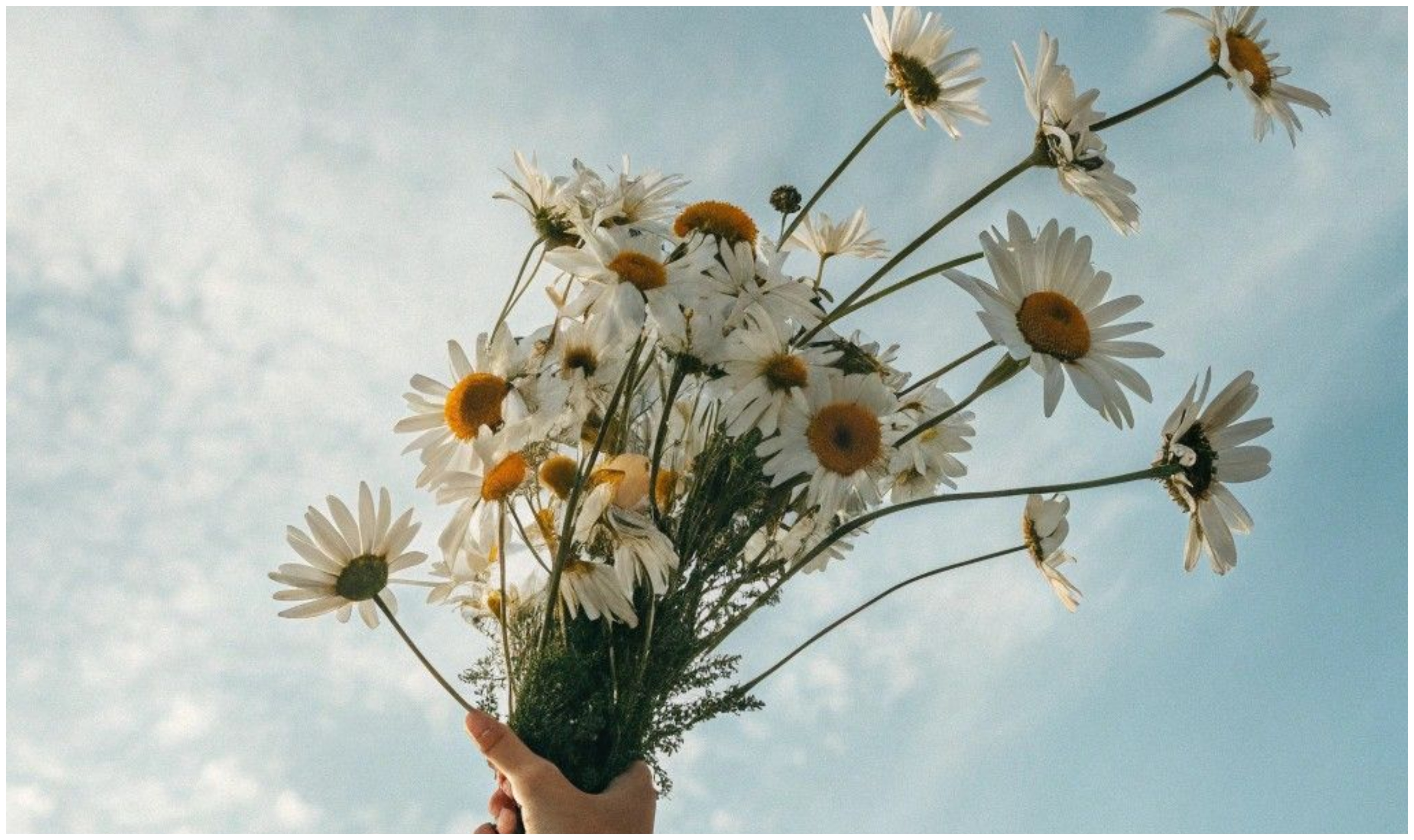 Ζώδια (22/3): Πίεση, παρορμητισμός και ξεκαθαρίσματα σχέσεων – Τι προβλέπεται για κάθε ζώδιο;