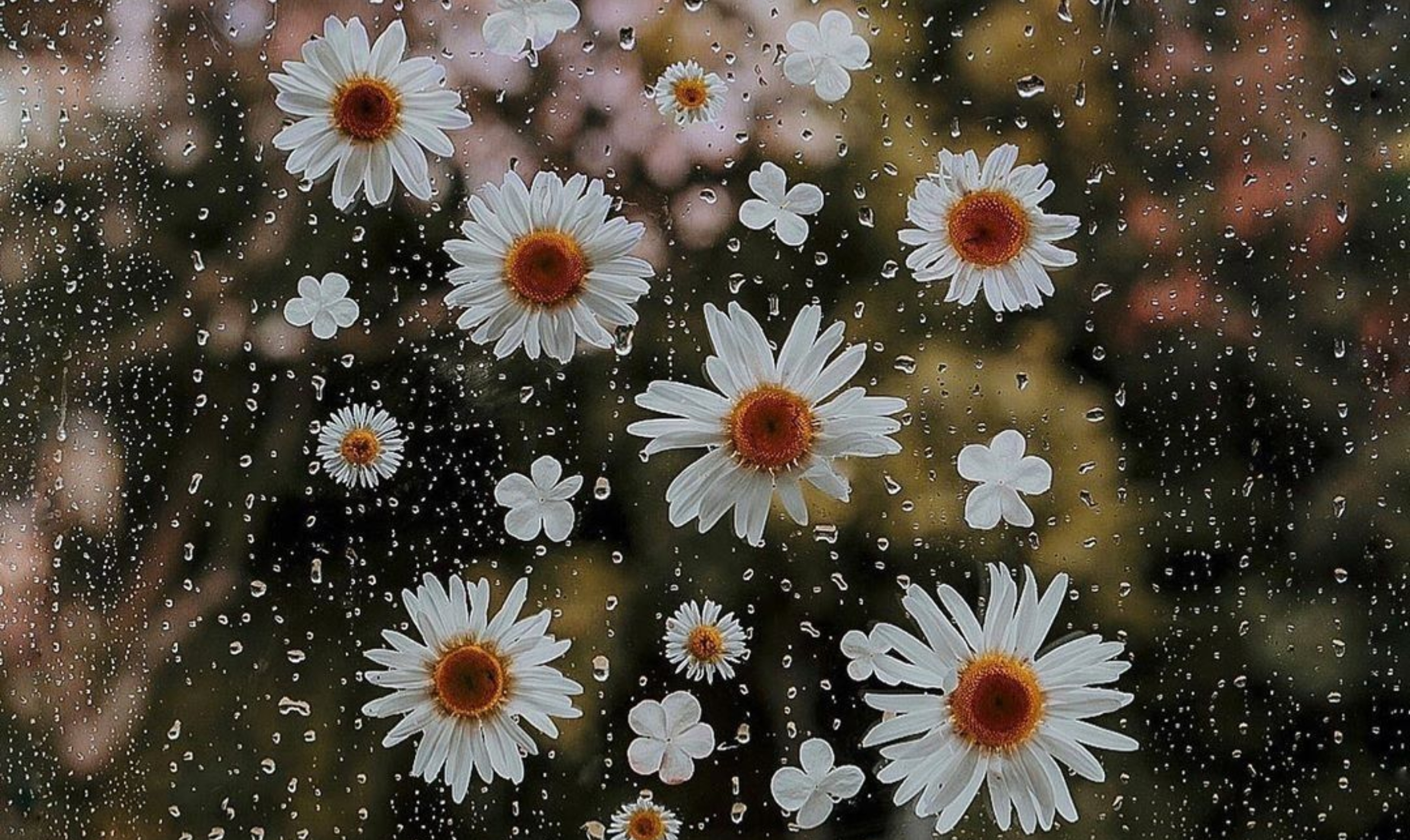 Ζώδια (21/3): Εξέλιξη, δημιουργικότητα και ουσιαστικές αλλαγές – Τι προβλέπεται για κάθε ζώδιο